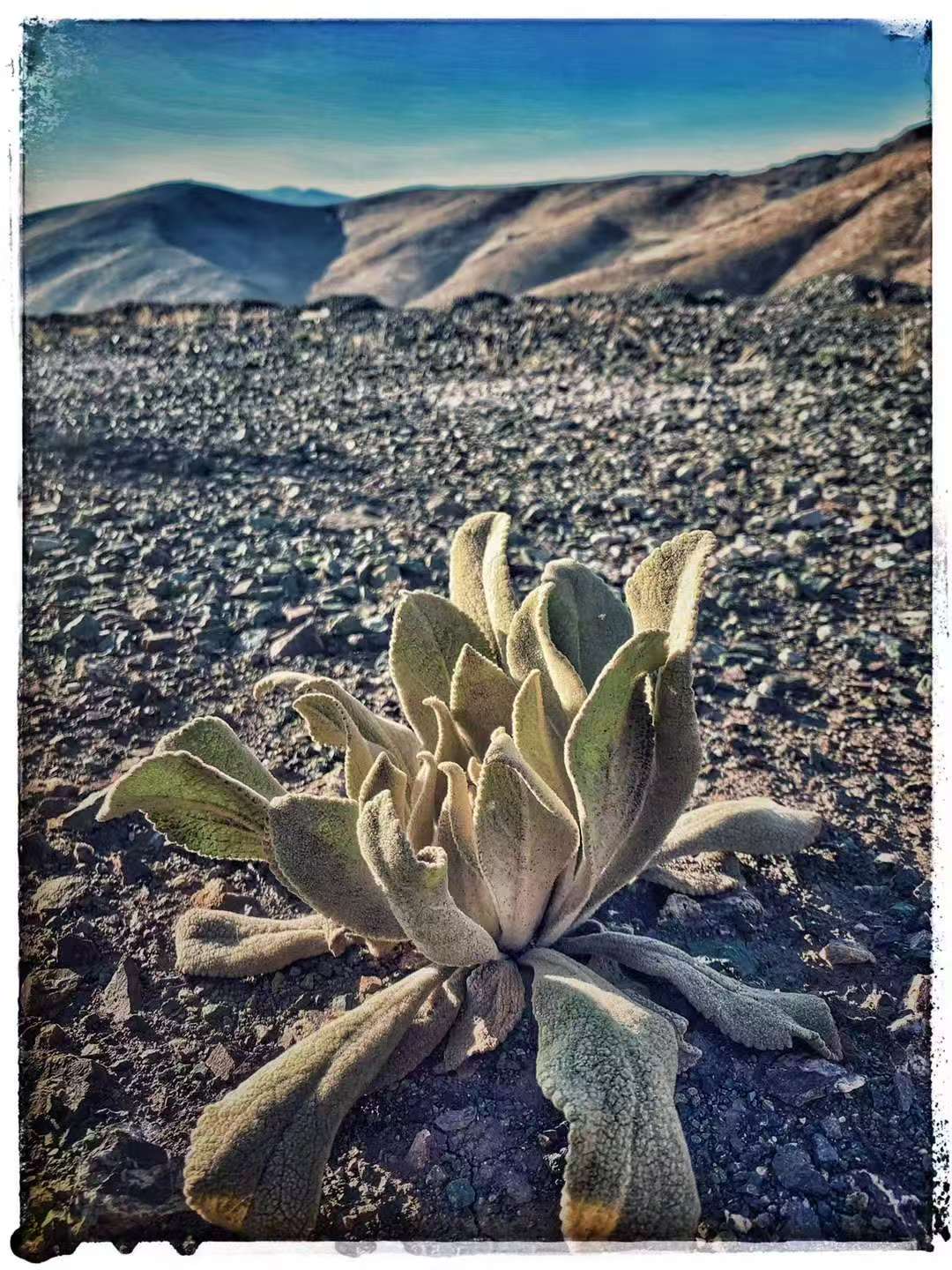 2019 Nov 6  Şanlıurfa · Travel Notes