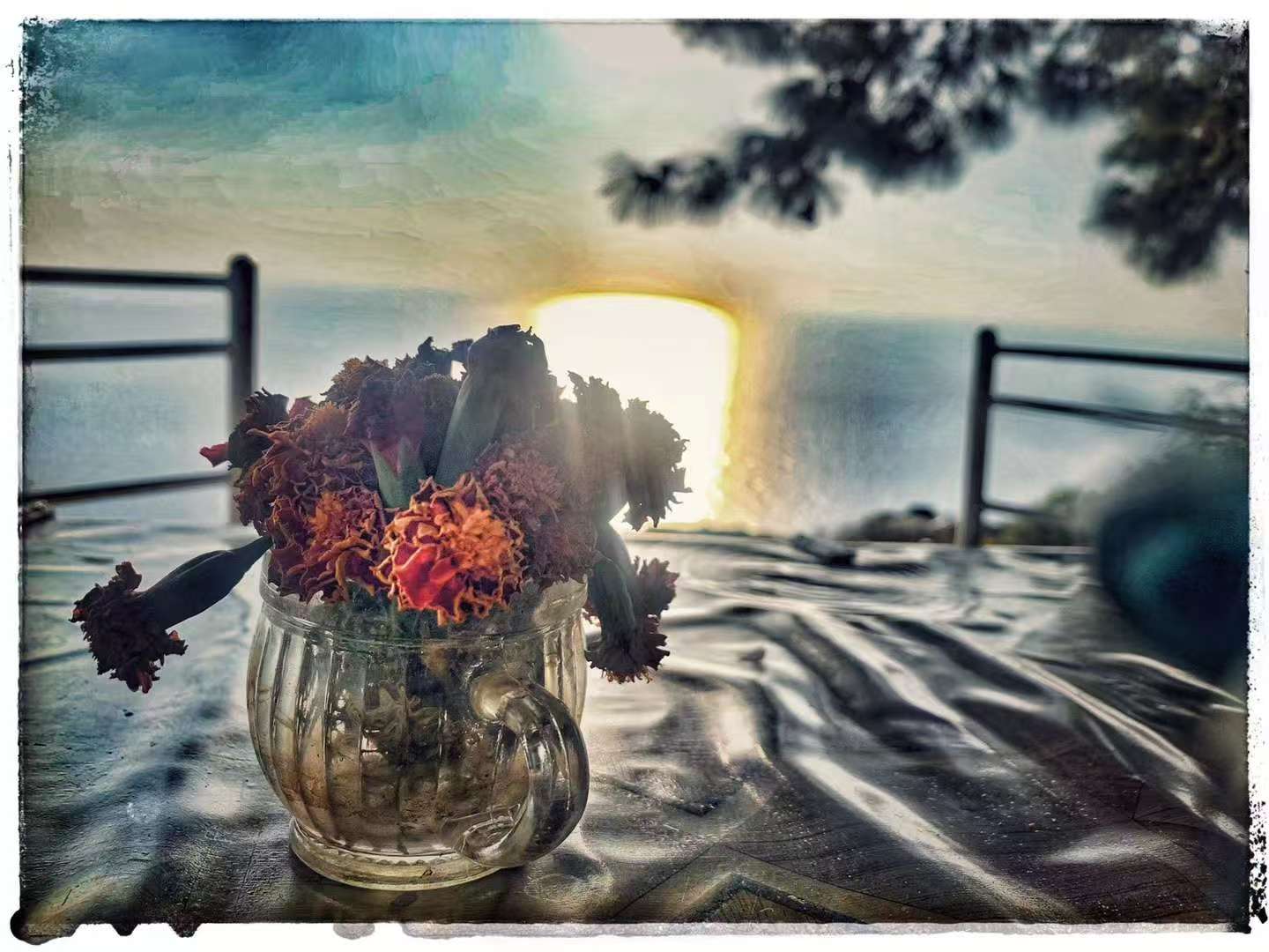 2019 Nov 8  Mediterranean Coast (D400) · Travel Notes