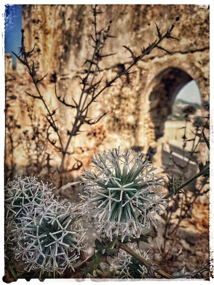 2019 Nov 8  Mediterranean Coast (D400) · Travel Notes