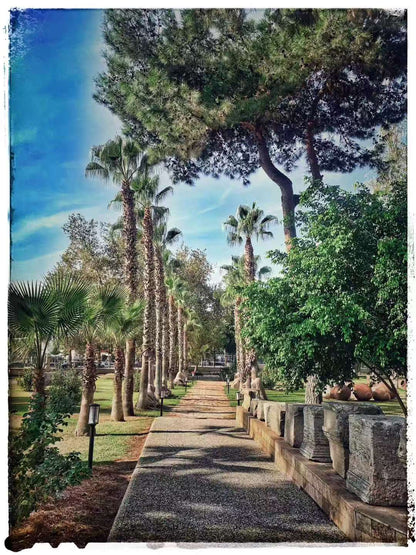 2019 Nov 10 Antalya → Kaş · Museum Day