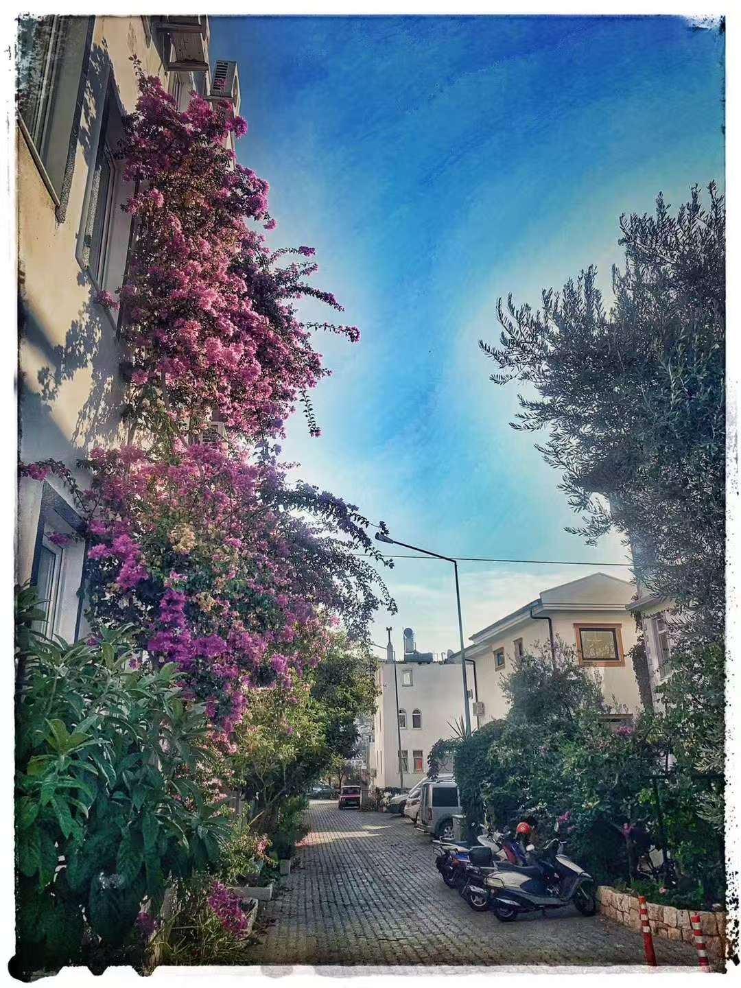 2019 Nov 11  Kaş · A Day in the Bay Town