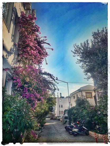 2019 Nov 11  Kaş · A Day in the Bay Town