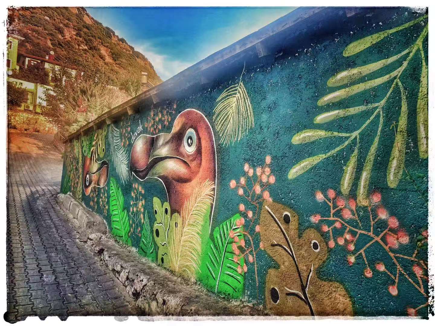 2019 Nov 11  Kaş · A Day in the Bay Town