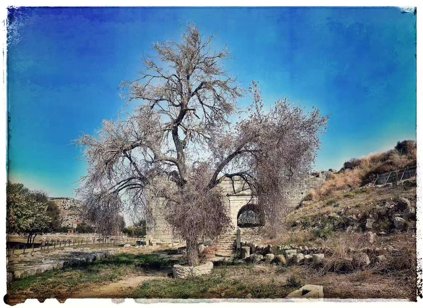 2019 Nov 12 Mediterranean Coast (Kaş area) · Coast &amp; Ruins