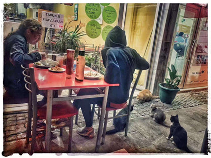 2019 Nov 13  Ephesus (Selçuk) · Westbound