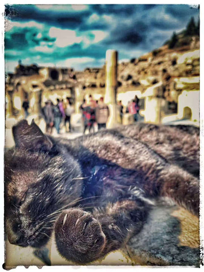 2019 Nov 14  Ephesus → Istanbul · Westbound