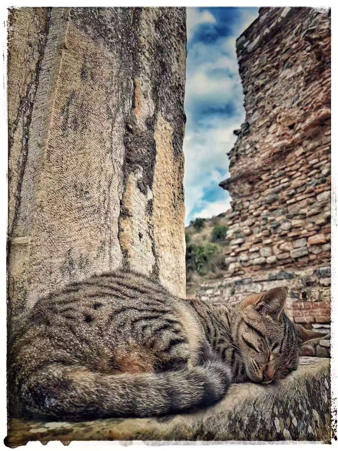 2019 Nov 14  Ephesus → Istanbul · Westbound