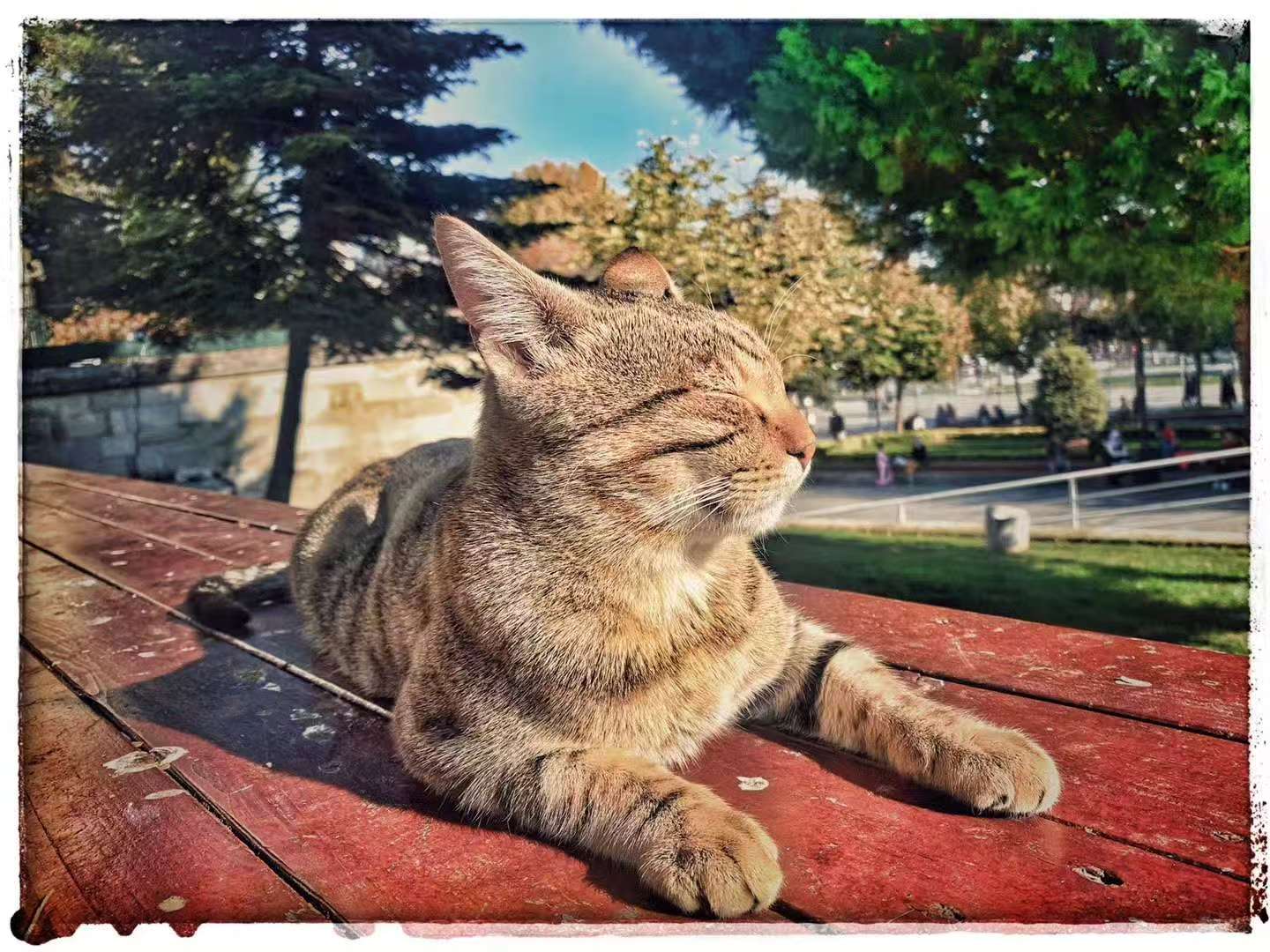 2019 Nov 3 Istanbul · Wandering