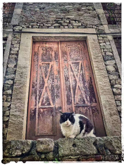 2019 Nov 3 Istanbul · Wandering