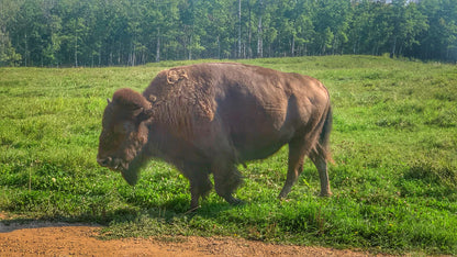 2025 AUG · A Round Trip from Calgary to Edmonton
