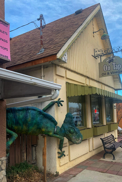 2025 NOV 15 Okotoks · “A Young Town,”