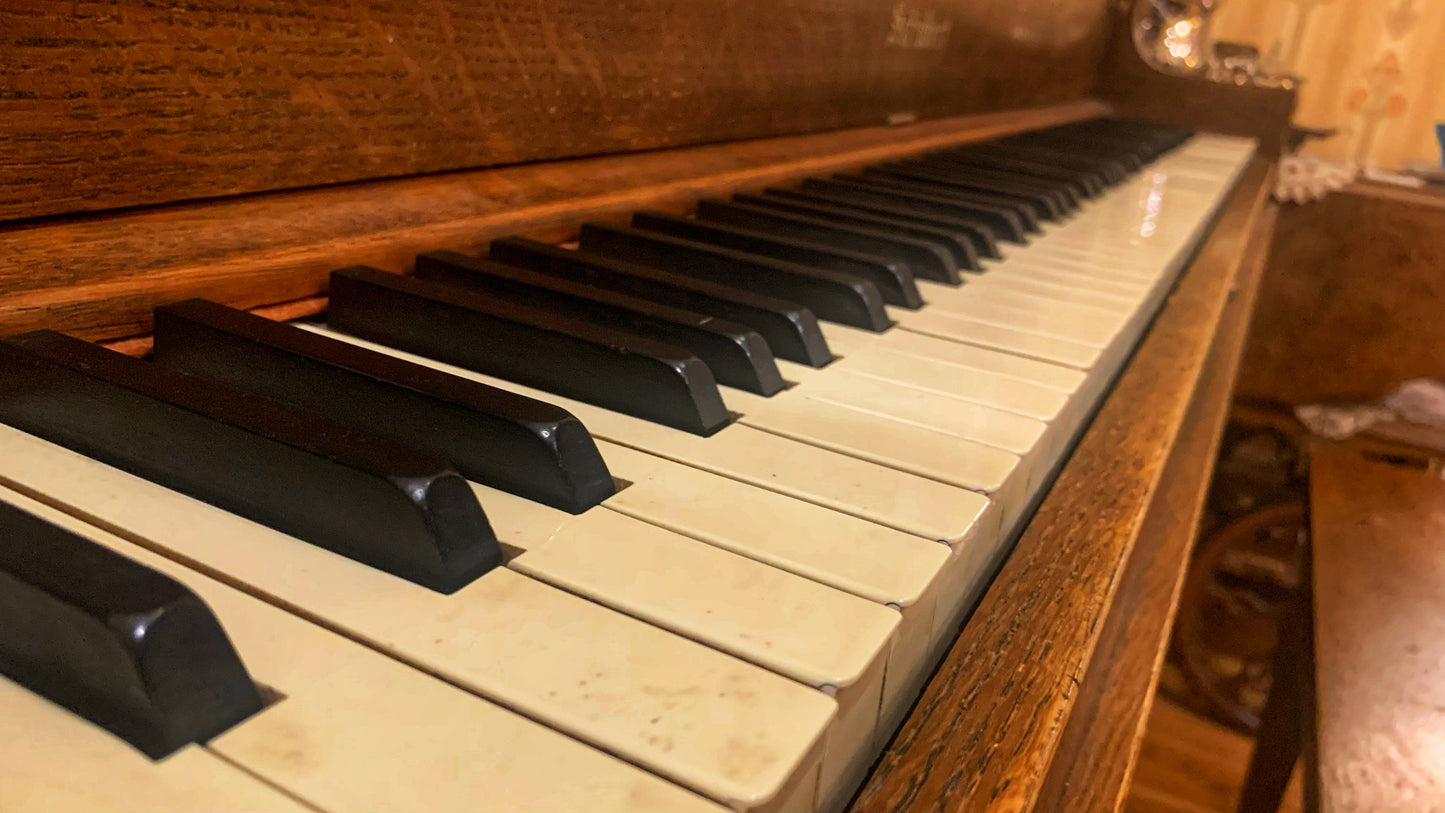 2025 NOV 15 Okotoks · “A Young Town,”