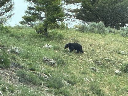 2026 Jul 01, Yellowstone & Grand Teton National Parks