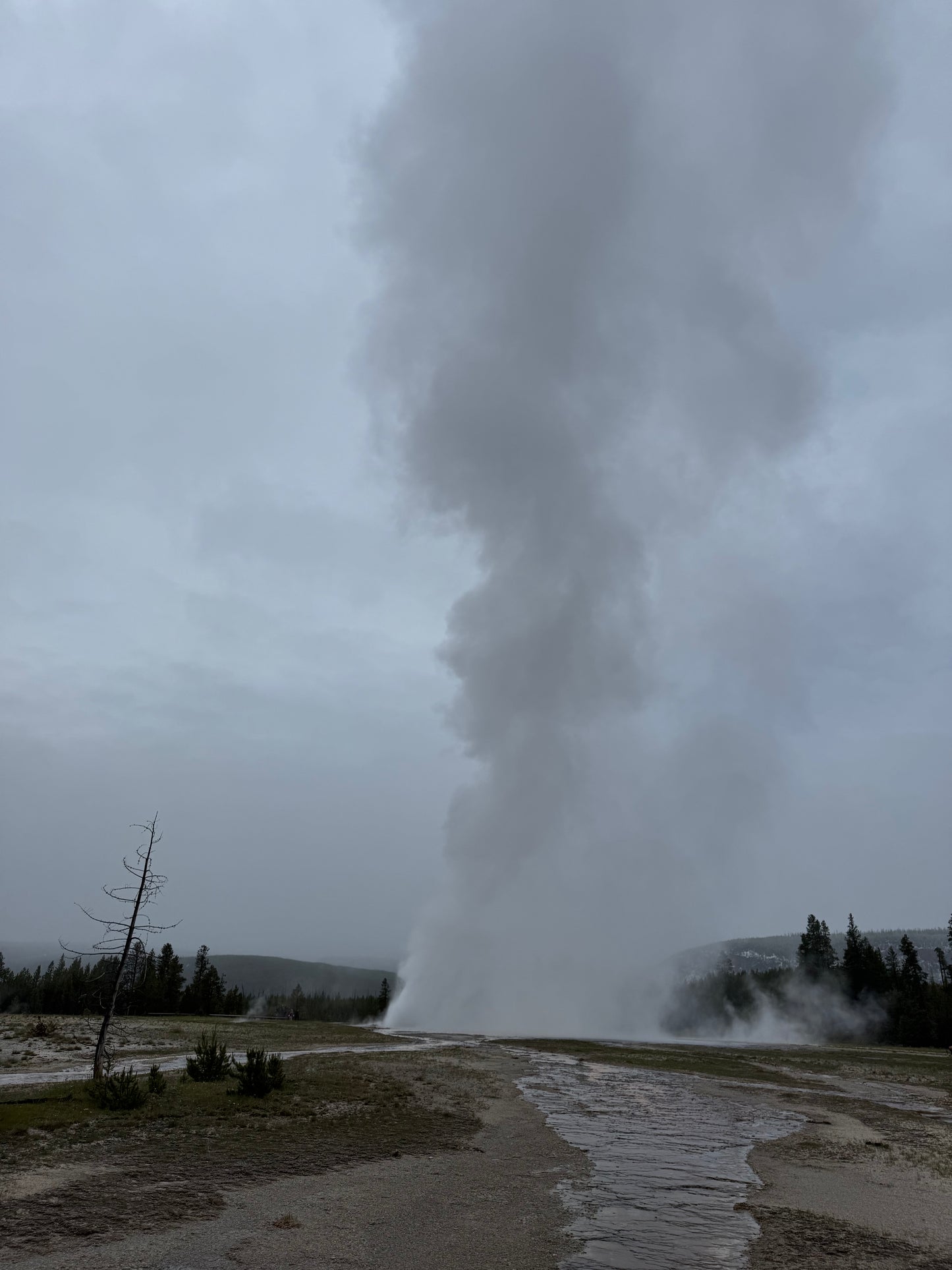 2026 Jul 01, Yellowstone & Grand Teton National Parks