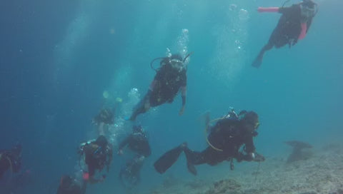 2016 Sep Island-Hopping Dive Adventure — Mabul & Semporna, Sabah, Malaysia